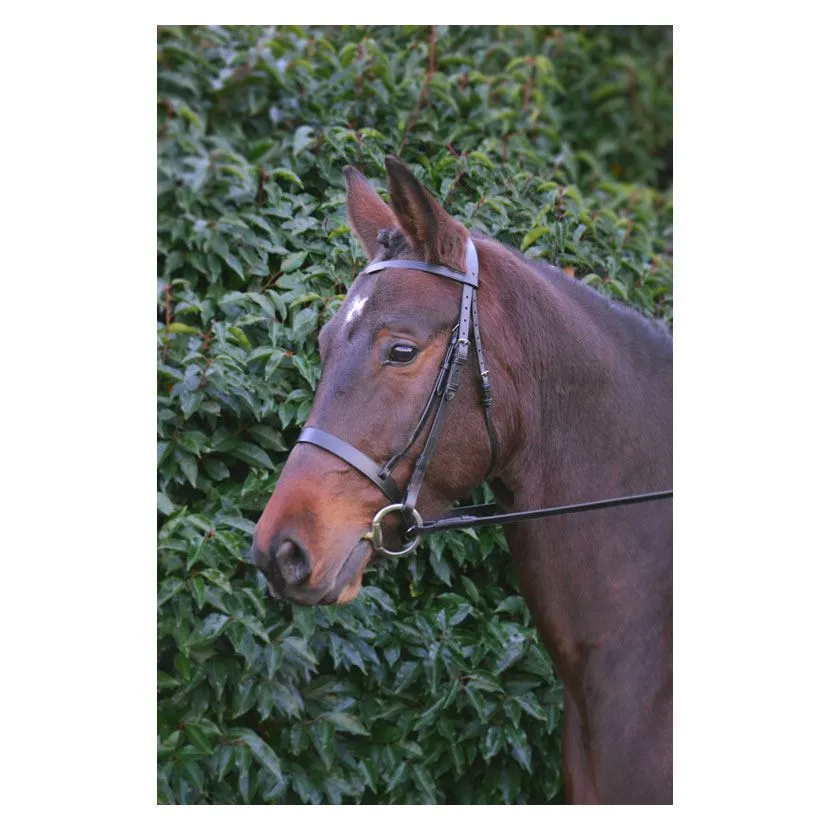 Hy Hunter Bridle with Rubber Grip Reins