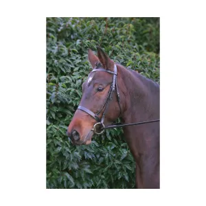 Hy Hunter Bridle with Rubber Grip Reins