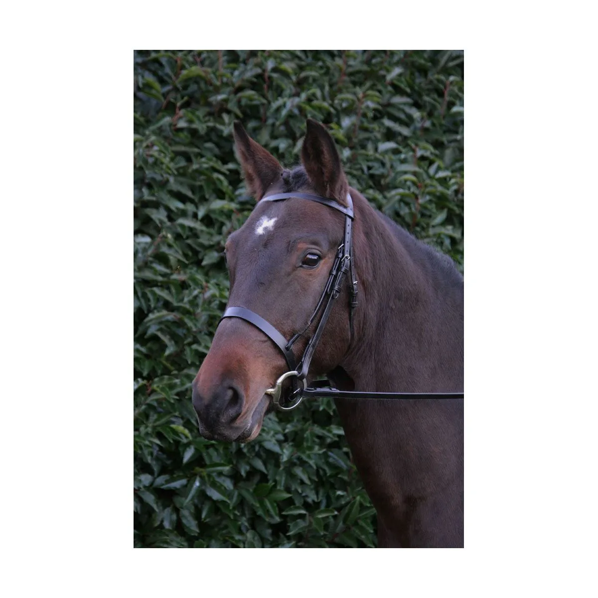 Hy Hunter Bridle with Rubber Grip Reins