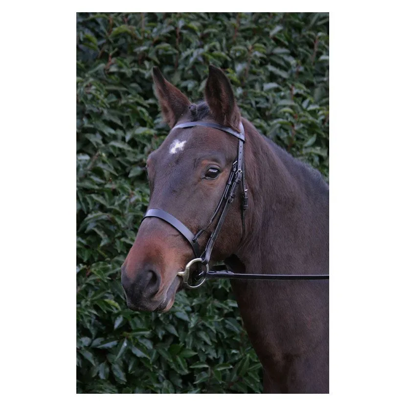 Hy Hunter Bridle with Rubber Grip Reins