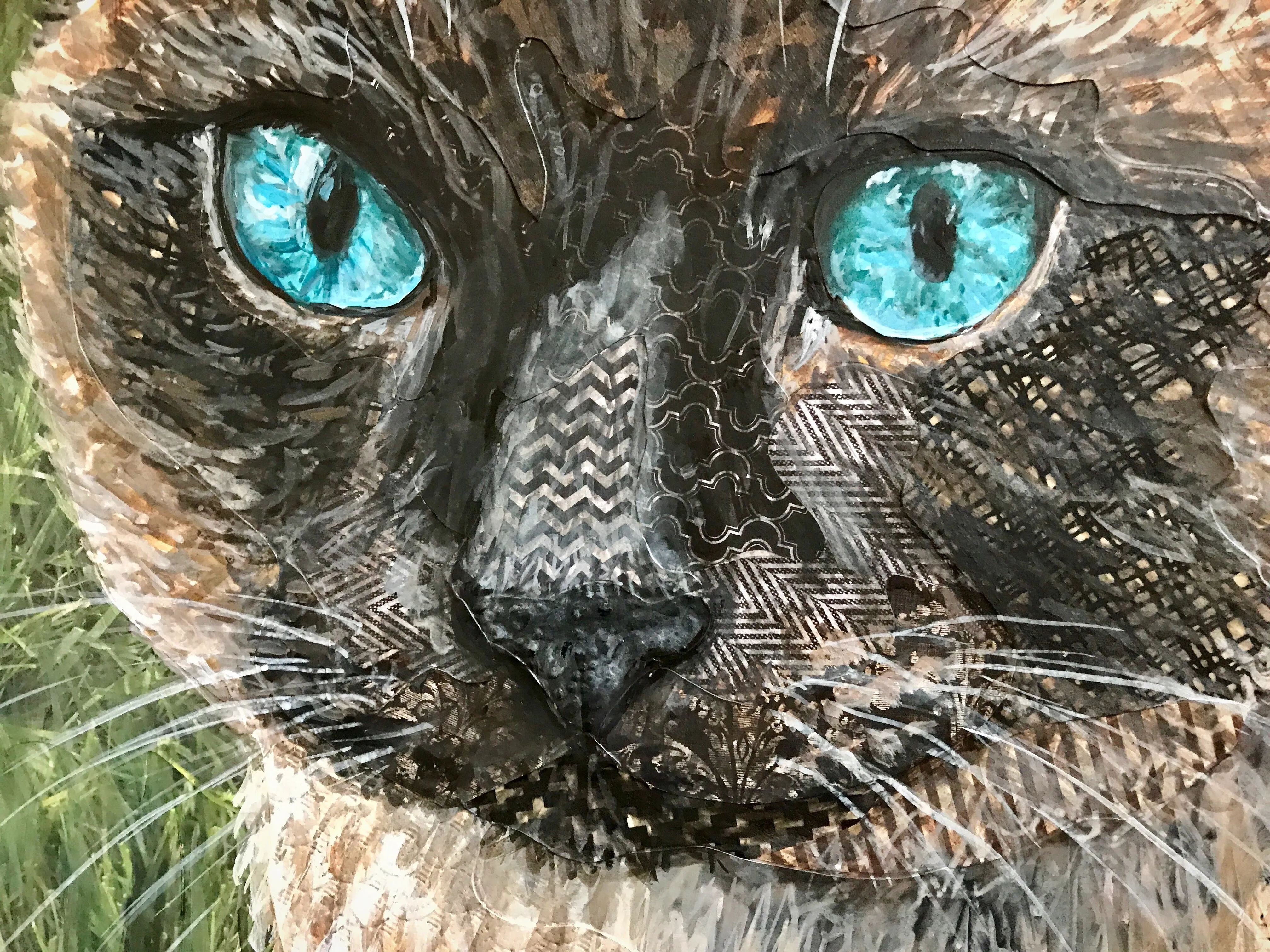 Ira - Cat