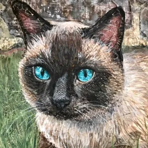 Ira - Cat