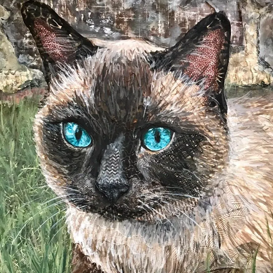 Ira - Cat