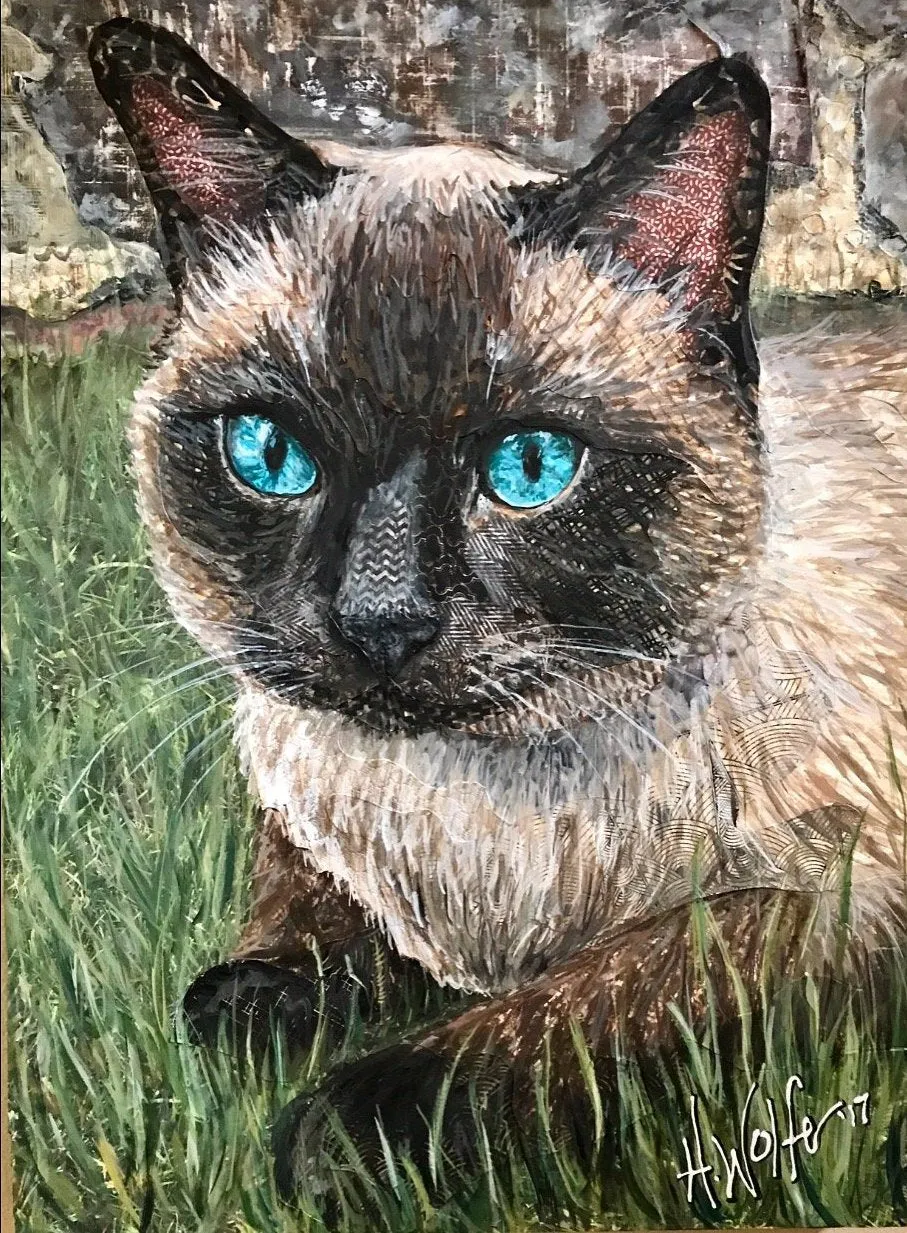 Ira - Cat