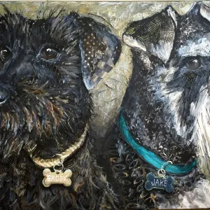 Jake & Brody - Schnauzer