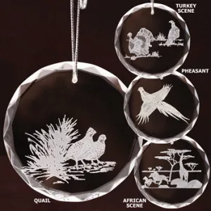 Kevin's Crystal Ornament