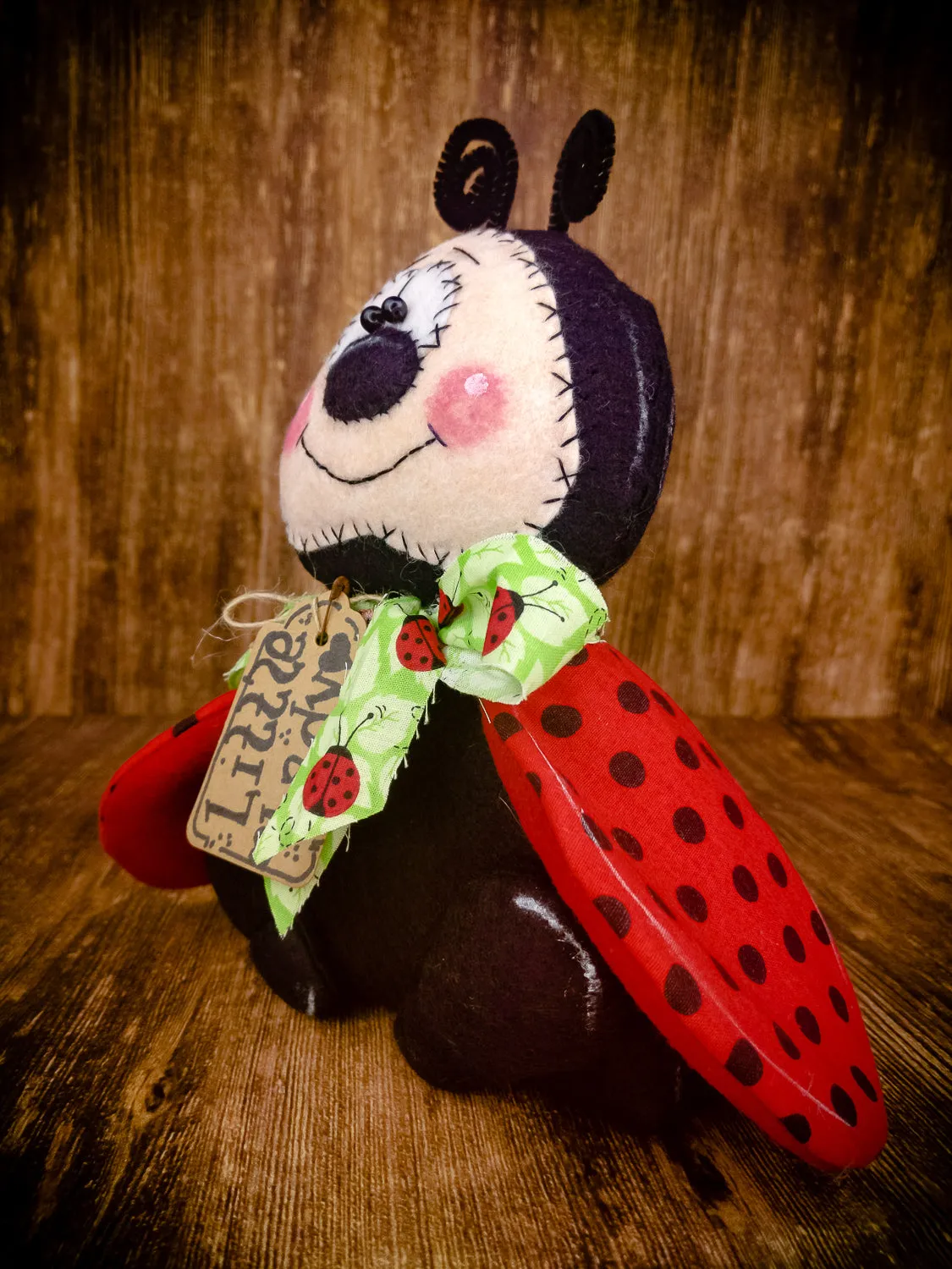 Little Ladybug
