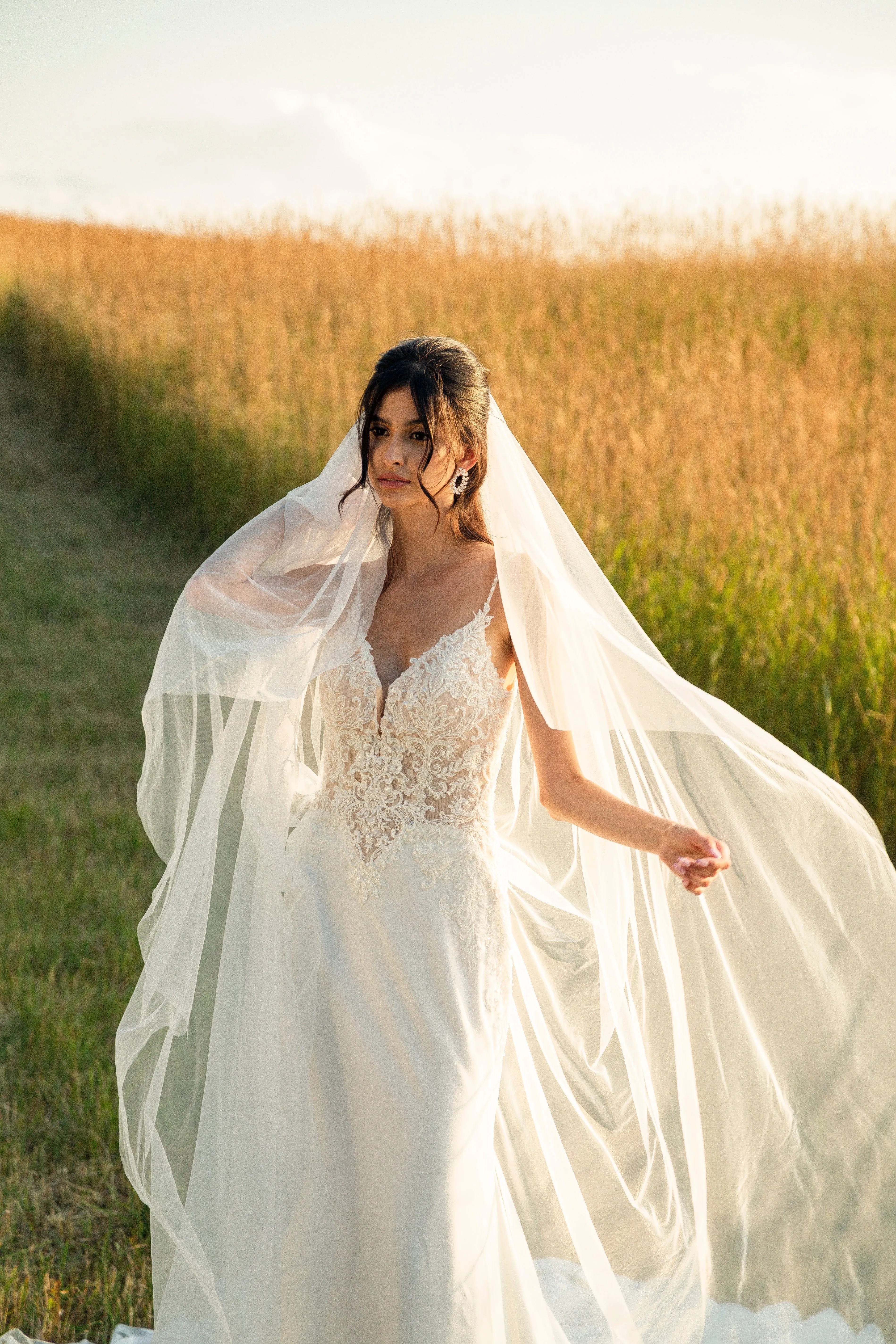 Magnolia: Plain Cathedral Veil
