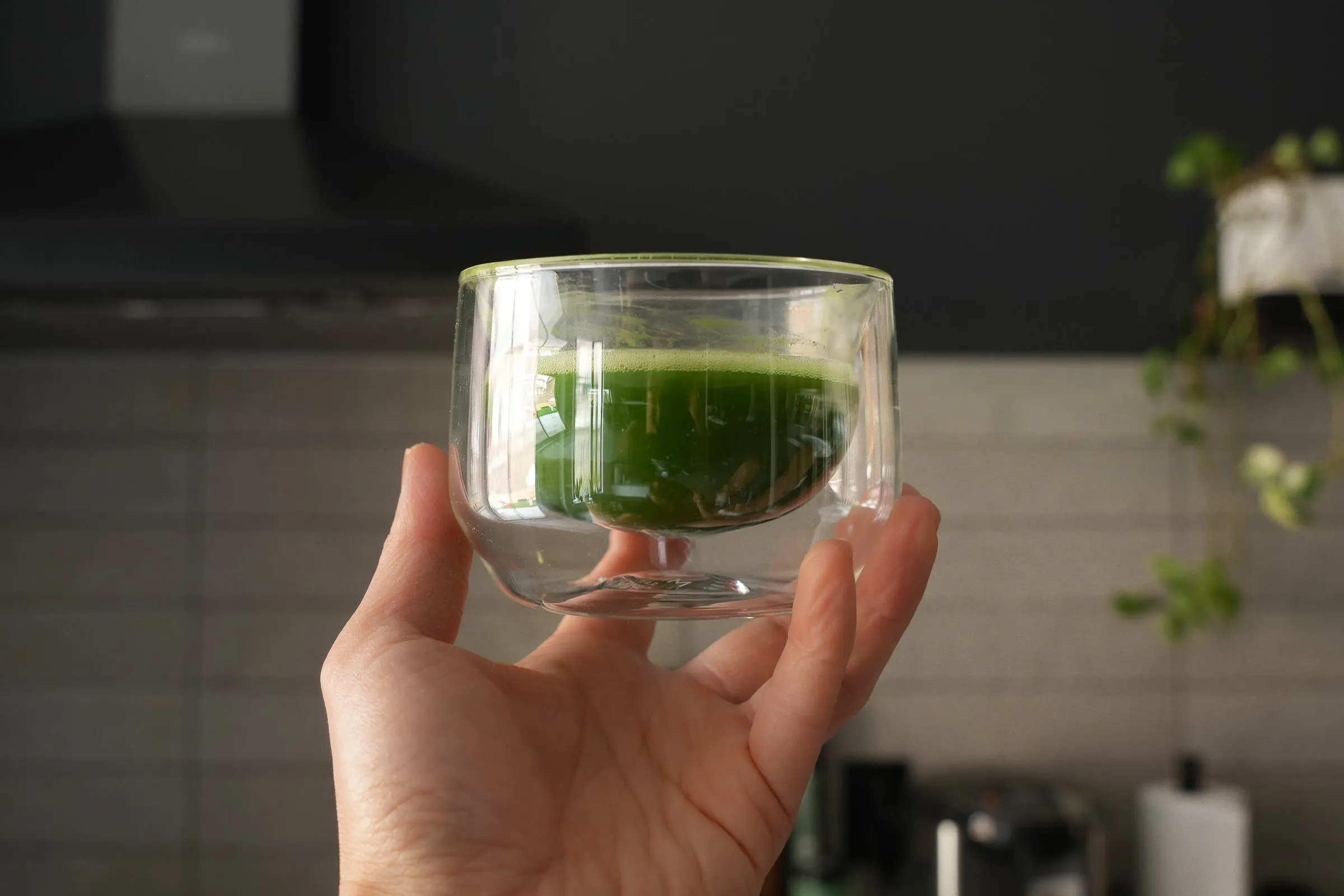 Midori Sipper Server Mug