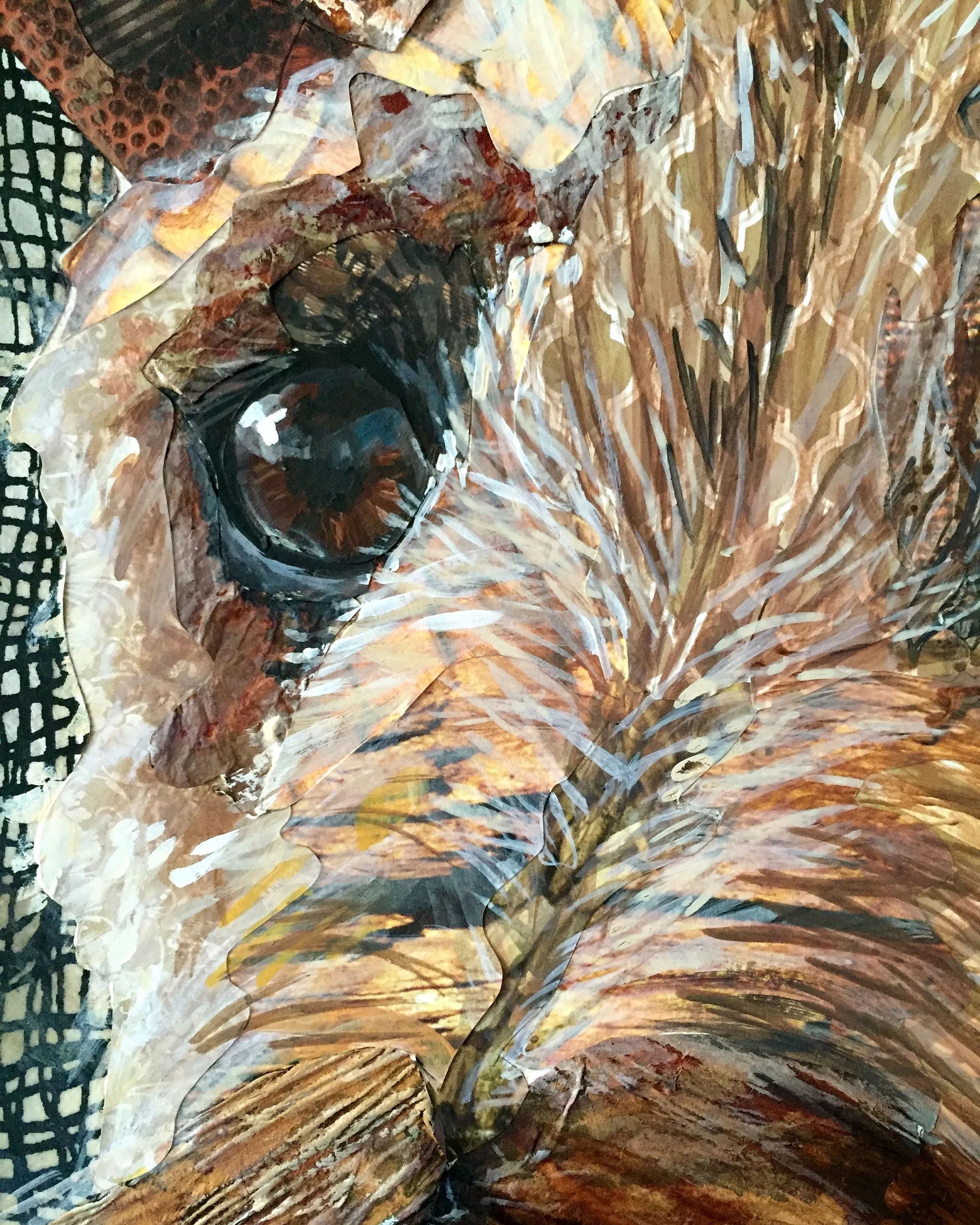 Mocha - Irish Terrier