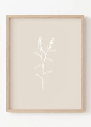 Neutral Lavender