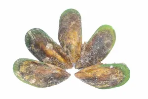 New Zealand Mussels