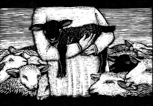 Other Sheep