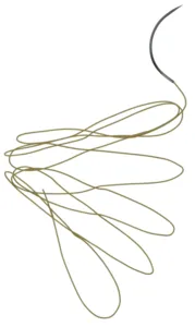 Plain Catgut