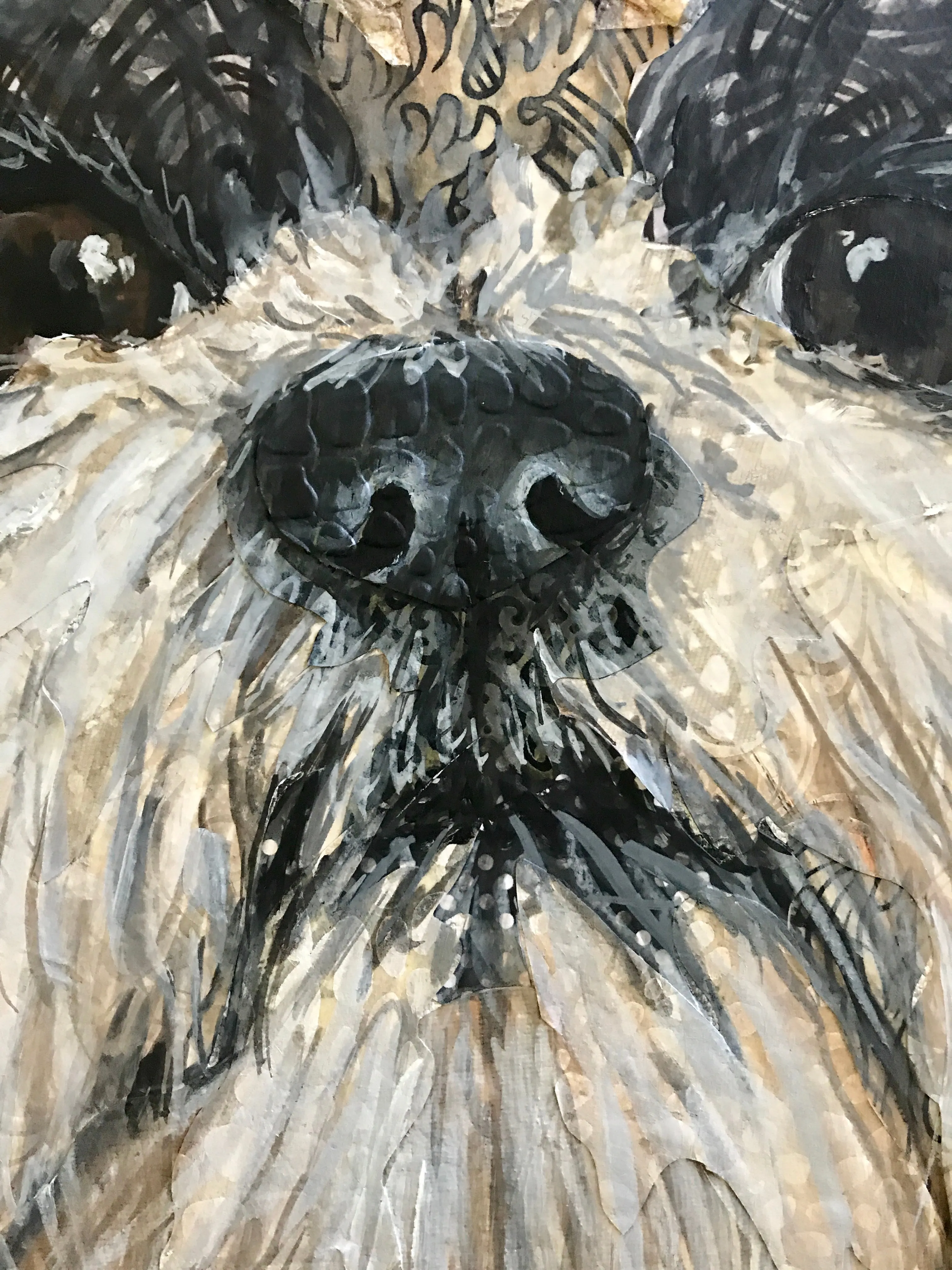 Porthos - Shih Tzu