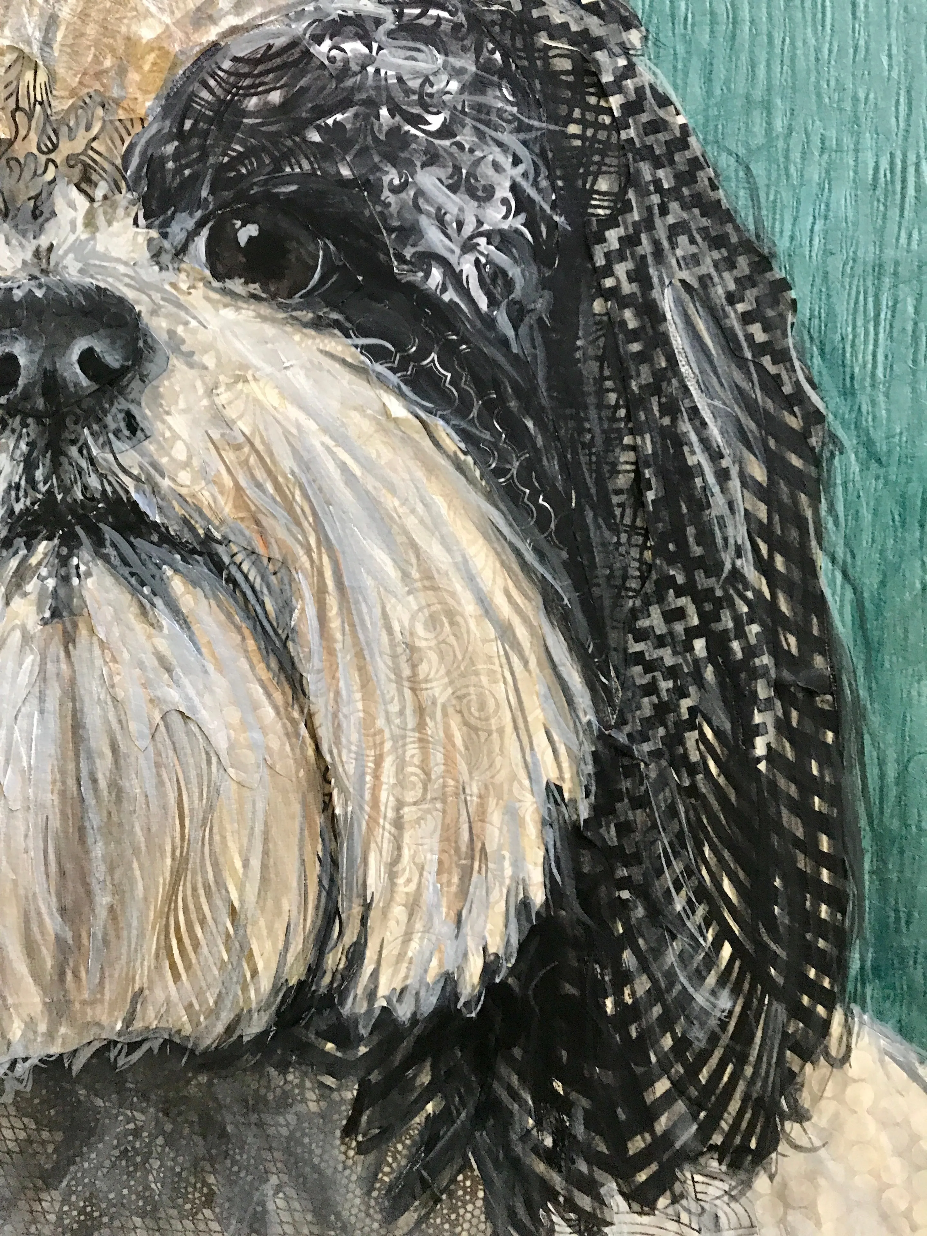 Porthos - Shih Tzu