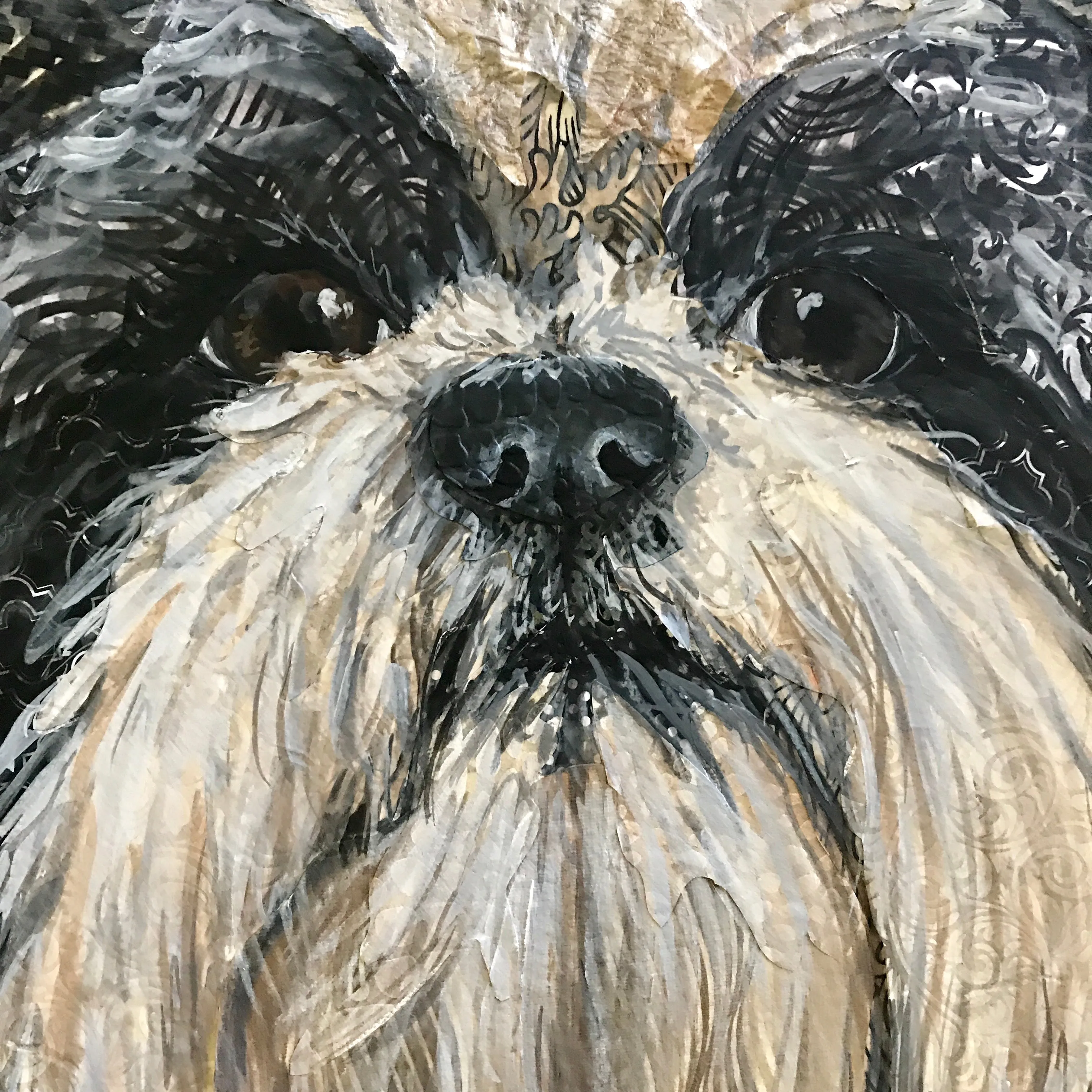 Porthos - Shih Tzu
