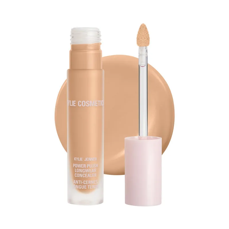 Power Plush Longwear Concealer