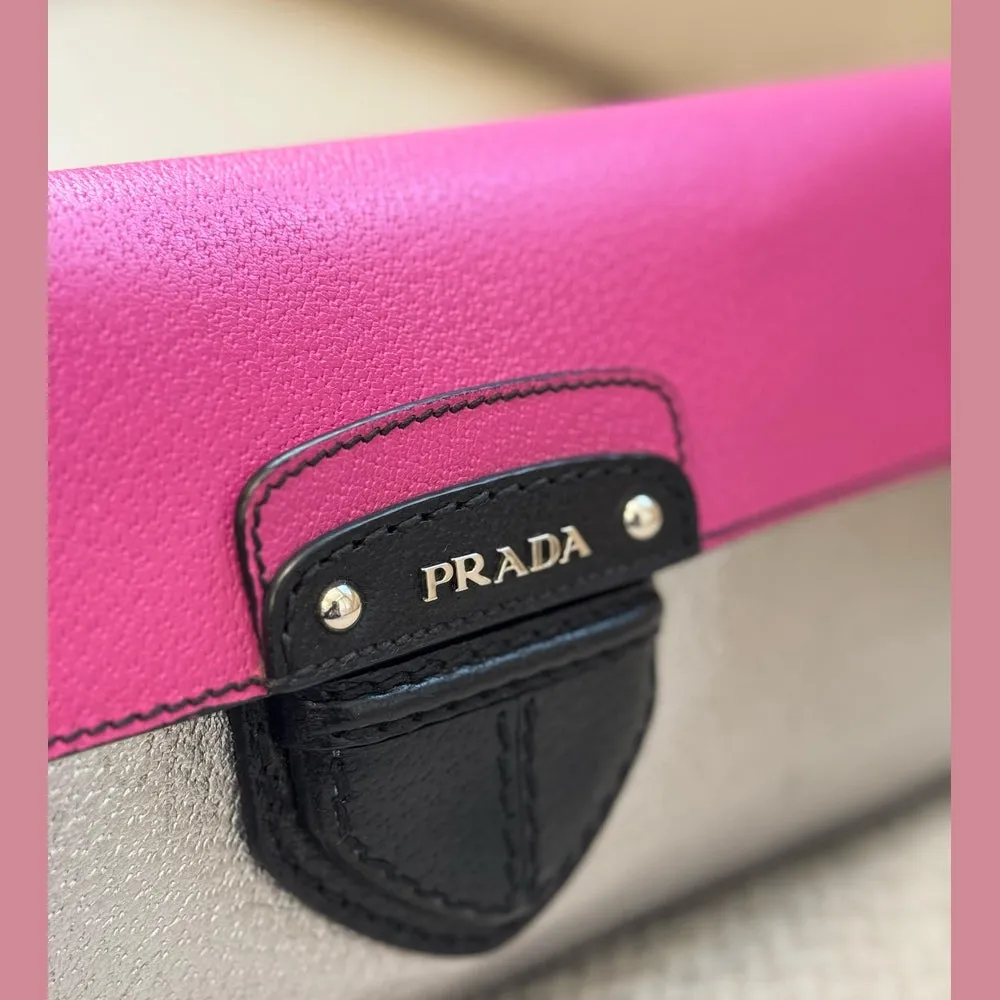 Prada Tricolor Cinghiale Clutch