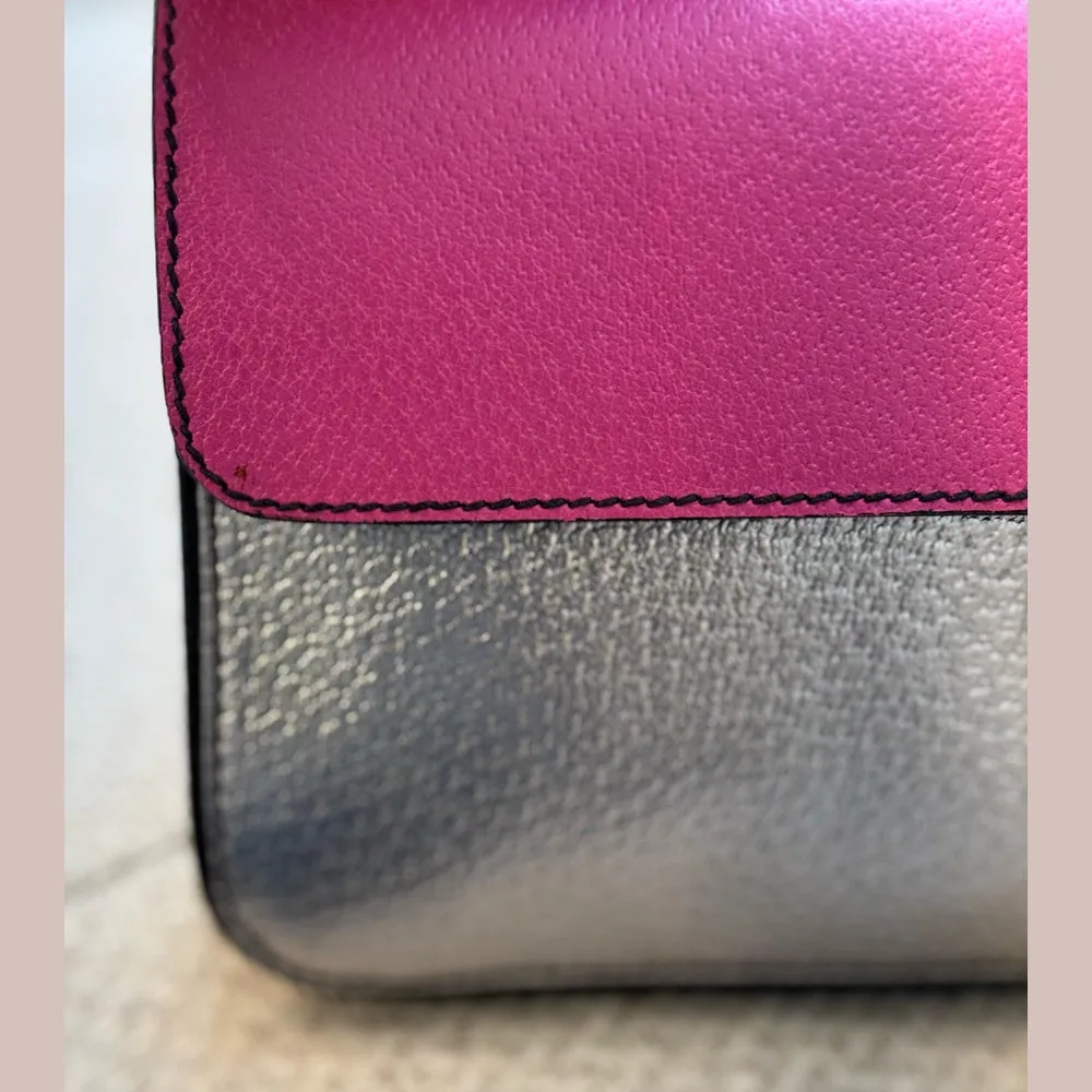Prada Tricolor Cinghiale Clutch