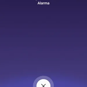 Purple Alarm Clock Interface