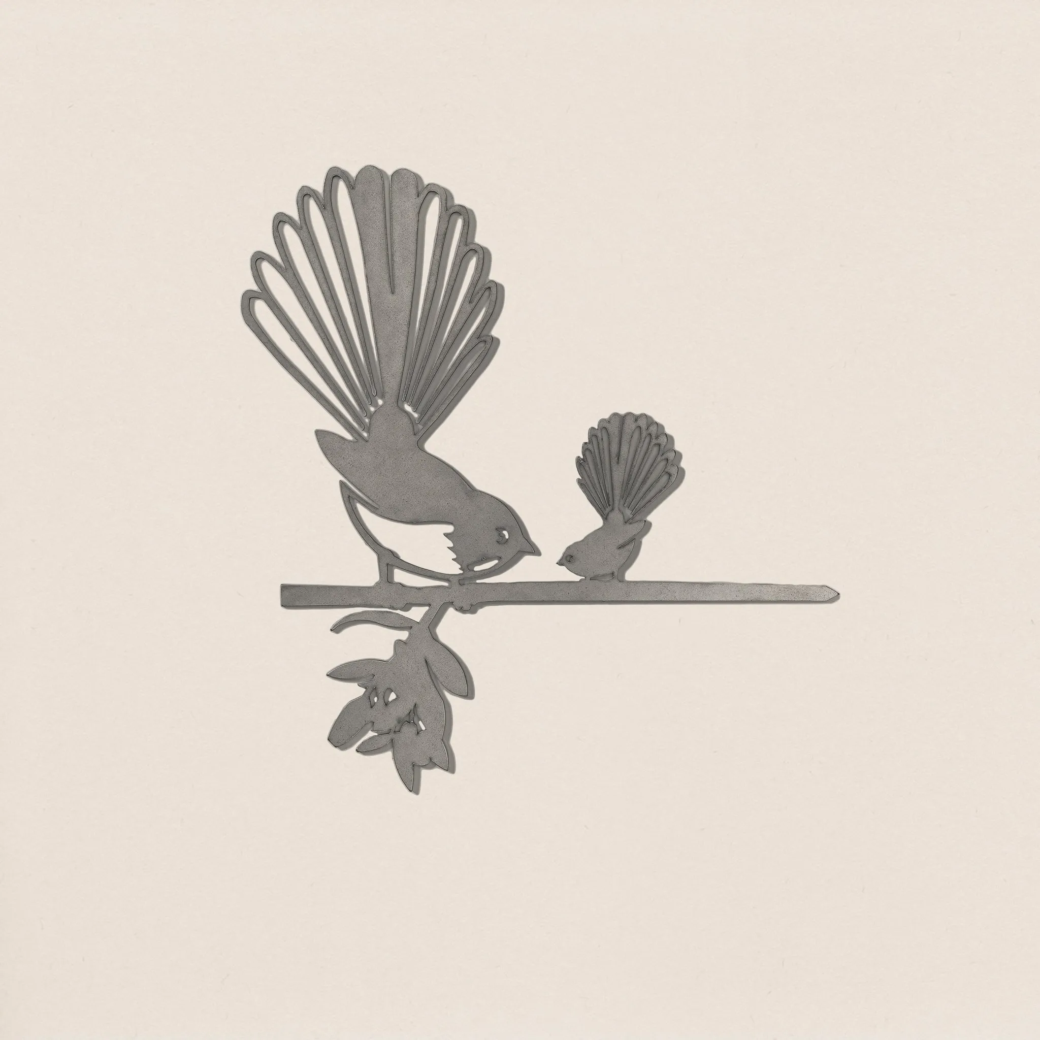 Pīwakawaka (Fantail) and Baby