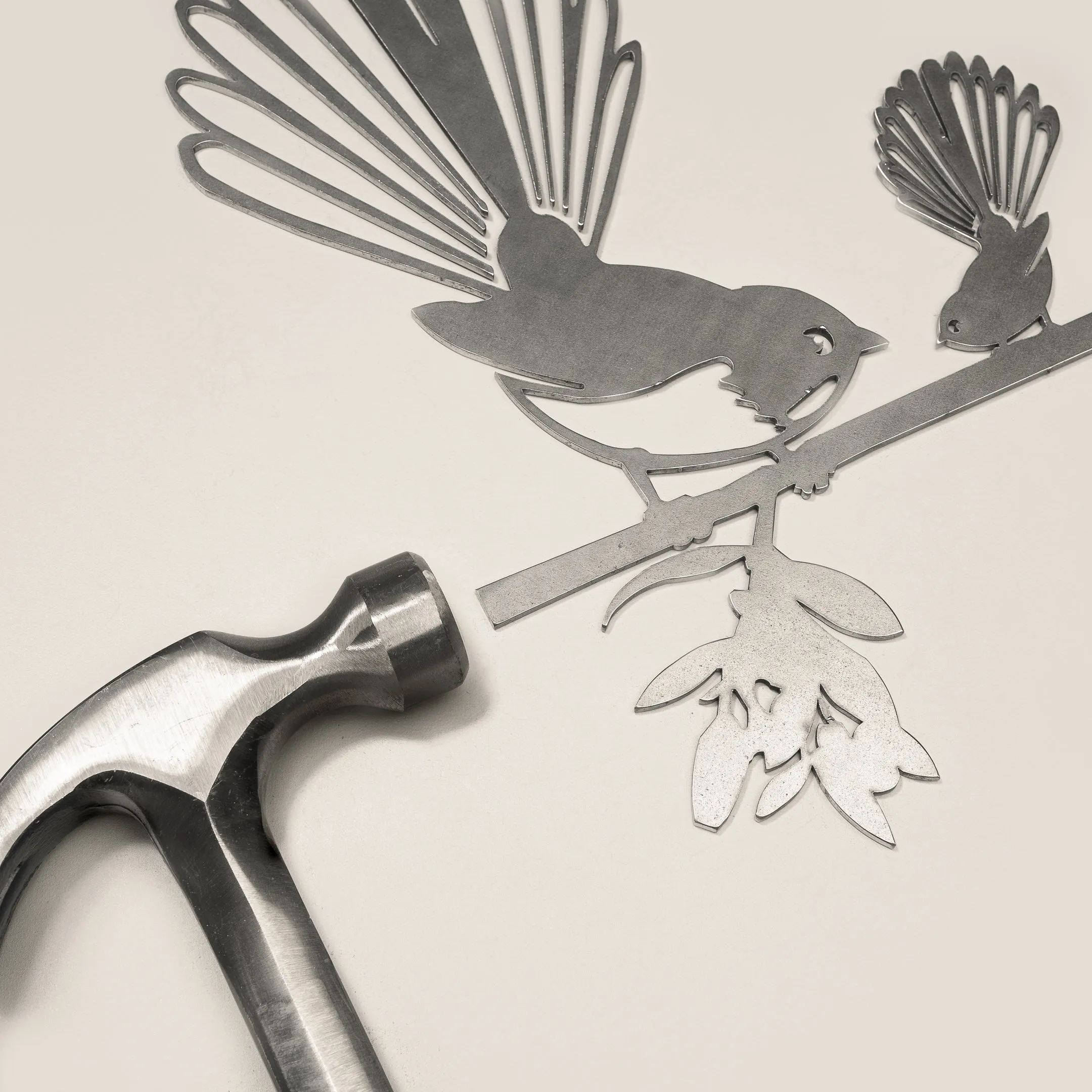 Pīwakawaka (Fantail) and Baby