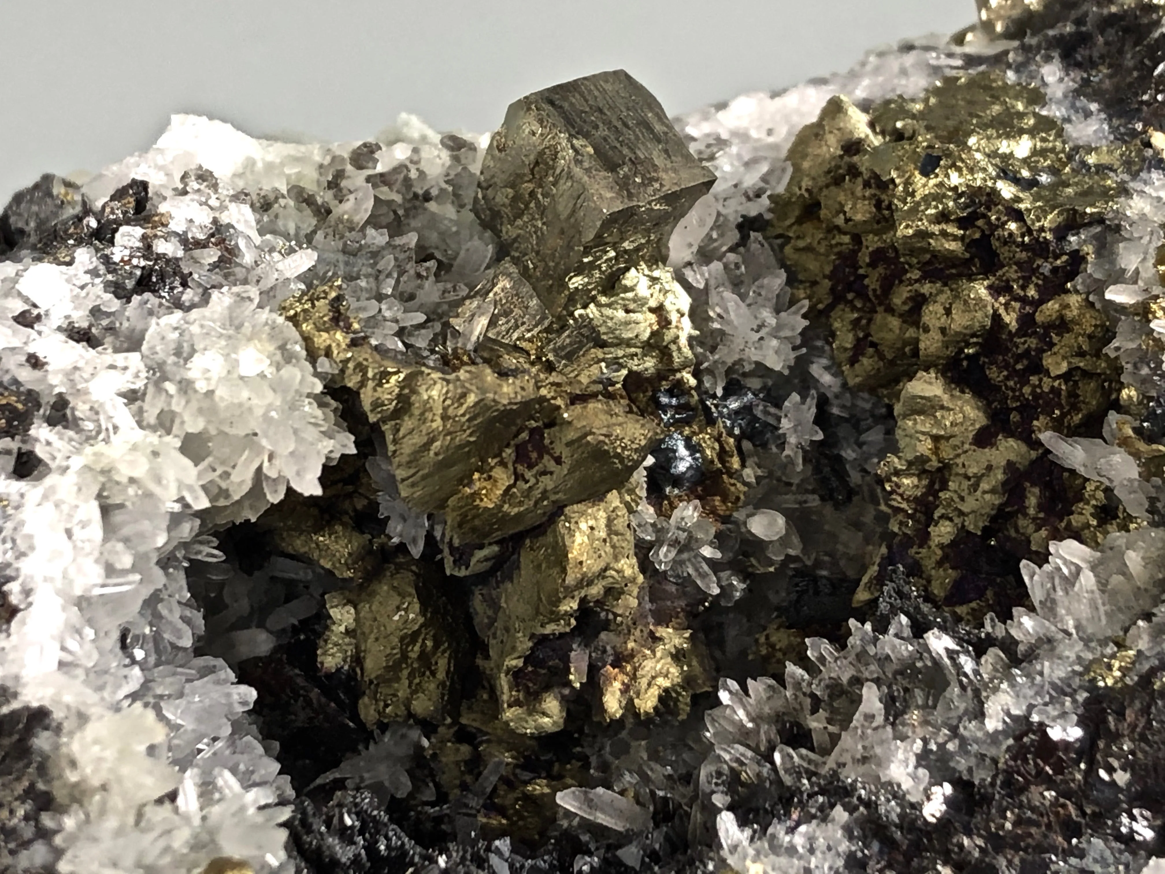 Quartz and Pyrite on Sphalerite, Mogila Mine, Madan District, Bulgaria, Mined c. 2012, Medium Cabinet 6.0 x 9.0 x 12.0 cm, $25.  Online January 30.