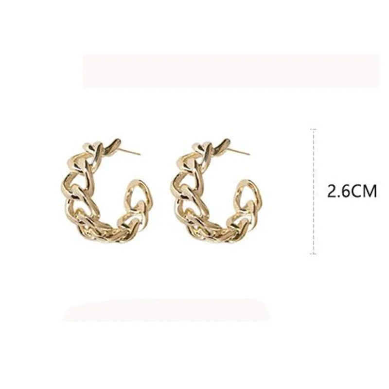 "CHAINLINK HOOP" Earrings