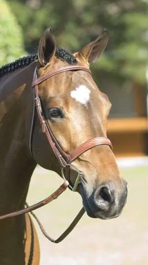 Rodrigo Fancy Stitched Wide Noseband Show Bridle