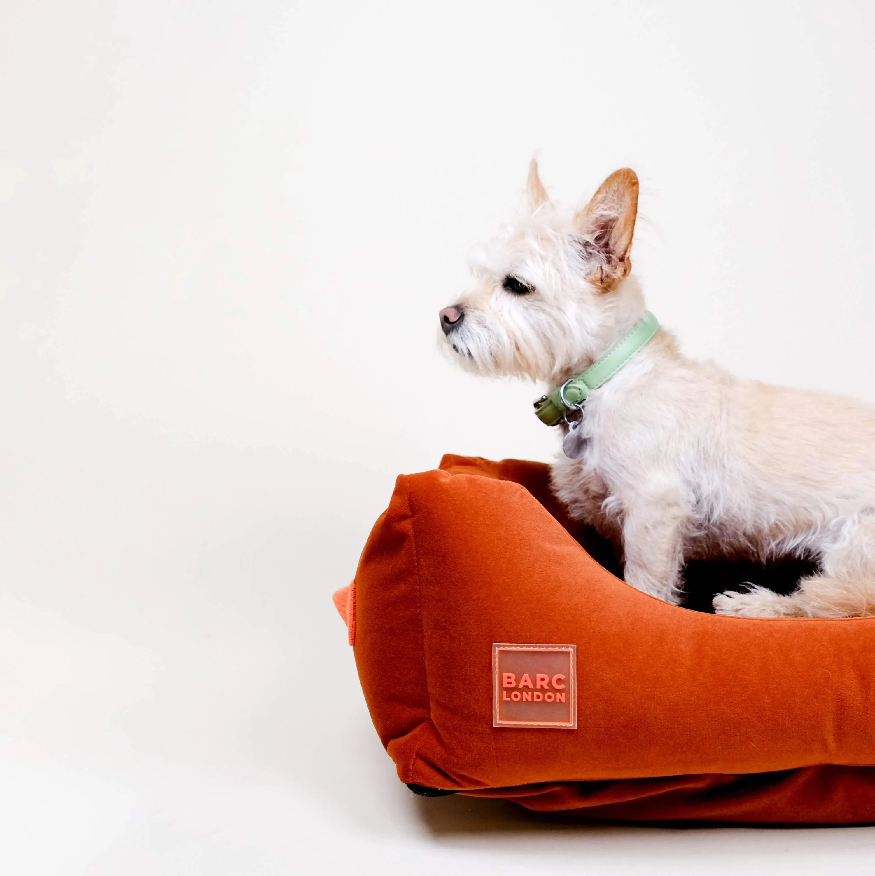 Rust Orange Premium Everyday Bed