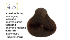 Salerm© Salermvison Professsional 4,75 Chestnut Brown Mahogany 2.3oz