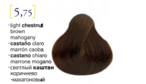 Salerm© Salermvison Professsional 5,75 Light Chestnut Brown 2.3oz