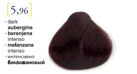 Salerm© Salermvison Professsional 5,96 Dark Aubergine Berenjena Intenso 2.3oz