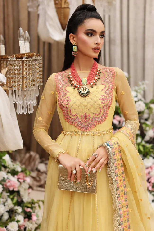 SHIZA HASSAN | FESTIVE 2022 | MEHBOOB