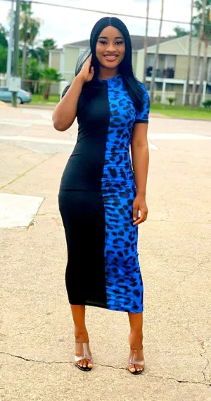 Sidep Dress