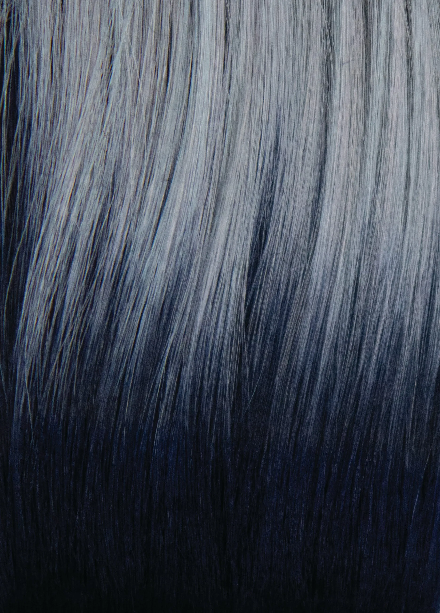 Silky Sleek