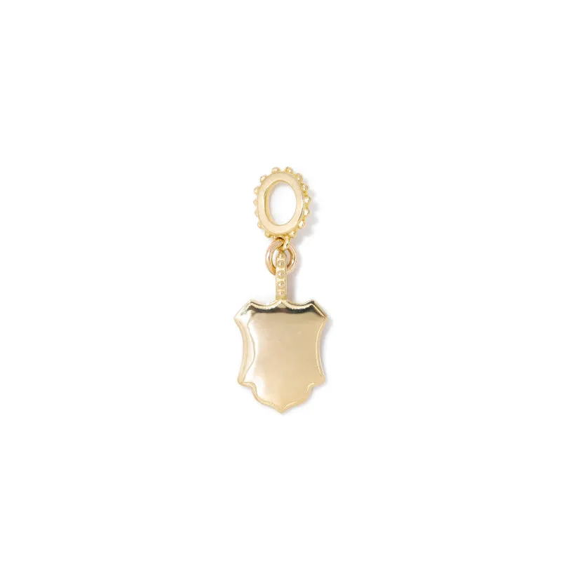 Small Shiny Shield Charm