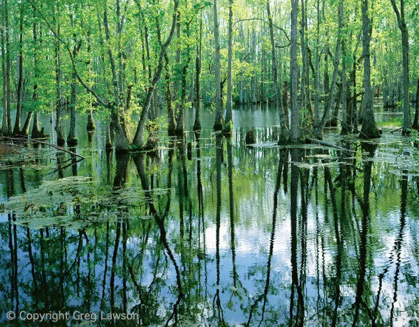 South Carolina