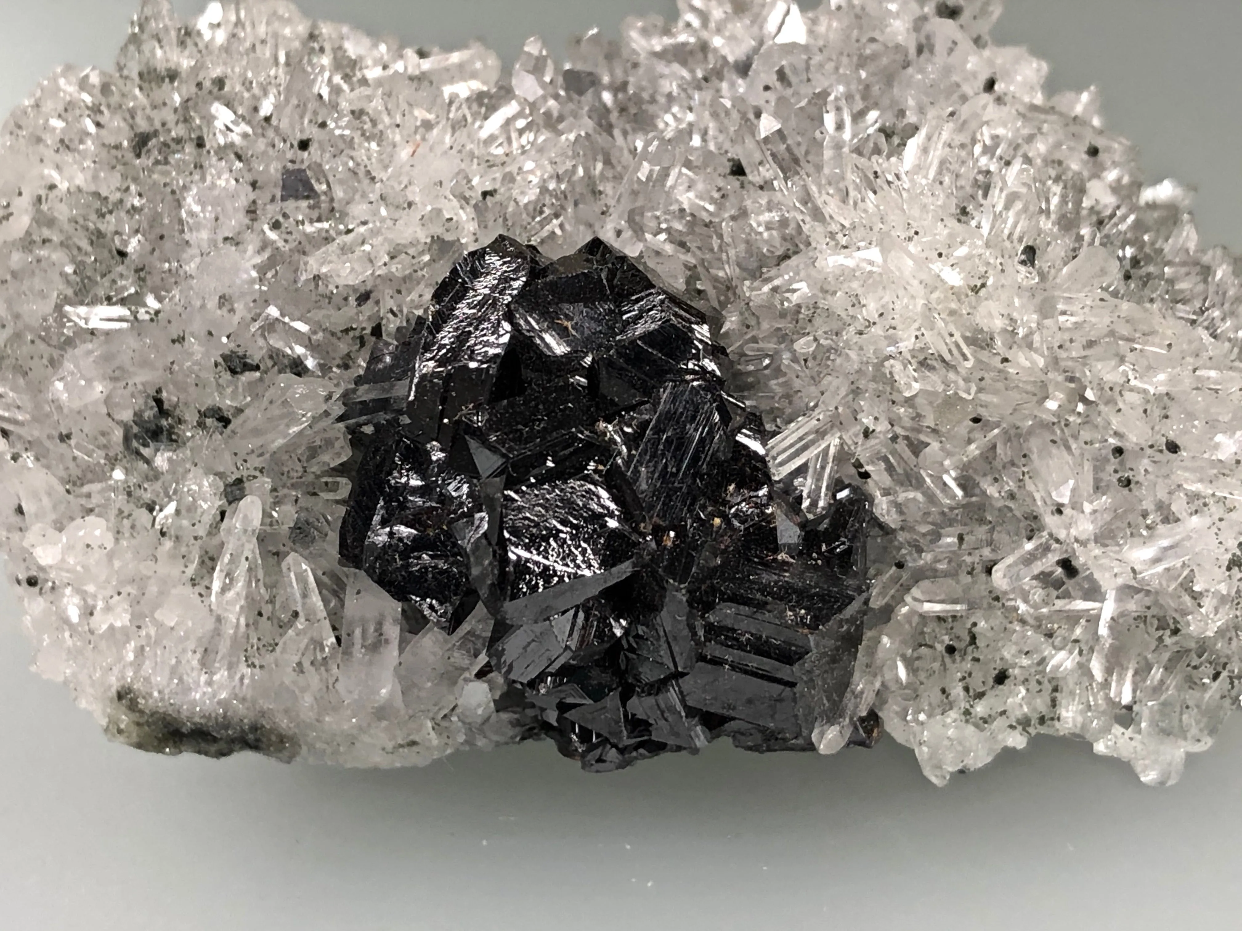 Sphalerite on Quartz, Borieva Mine, Madan District, Bulgaria, Mined c. 2012, Miniature 3.0 x 4.5 x 7.5 cm, $85.  Online January 30.