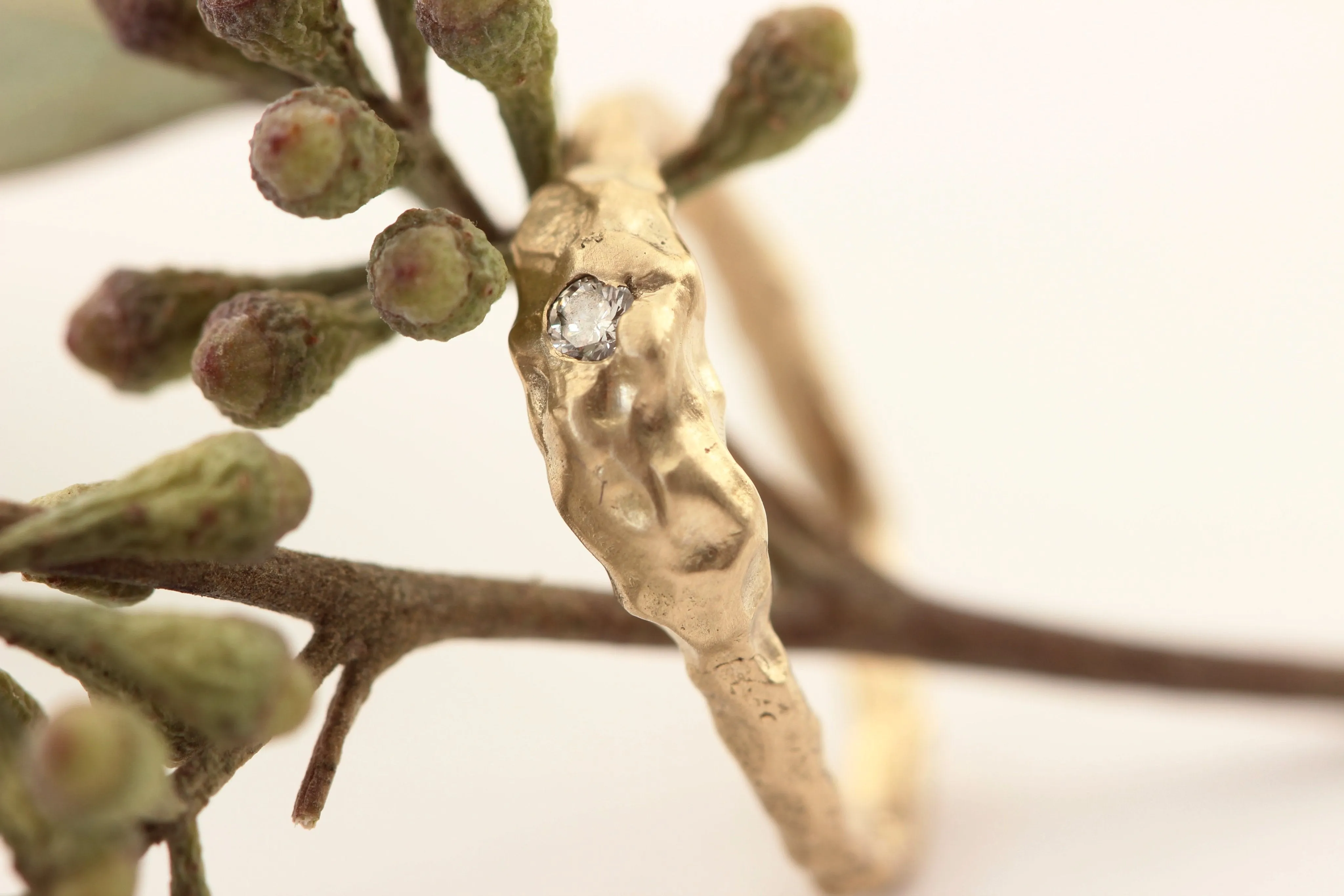 The Shiny Gold Adventure Ring