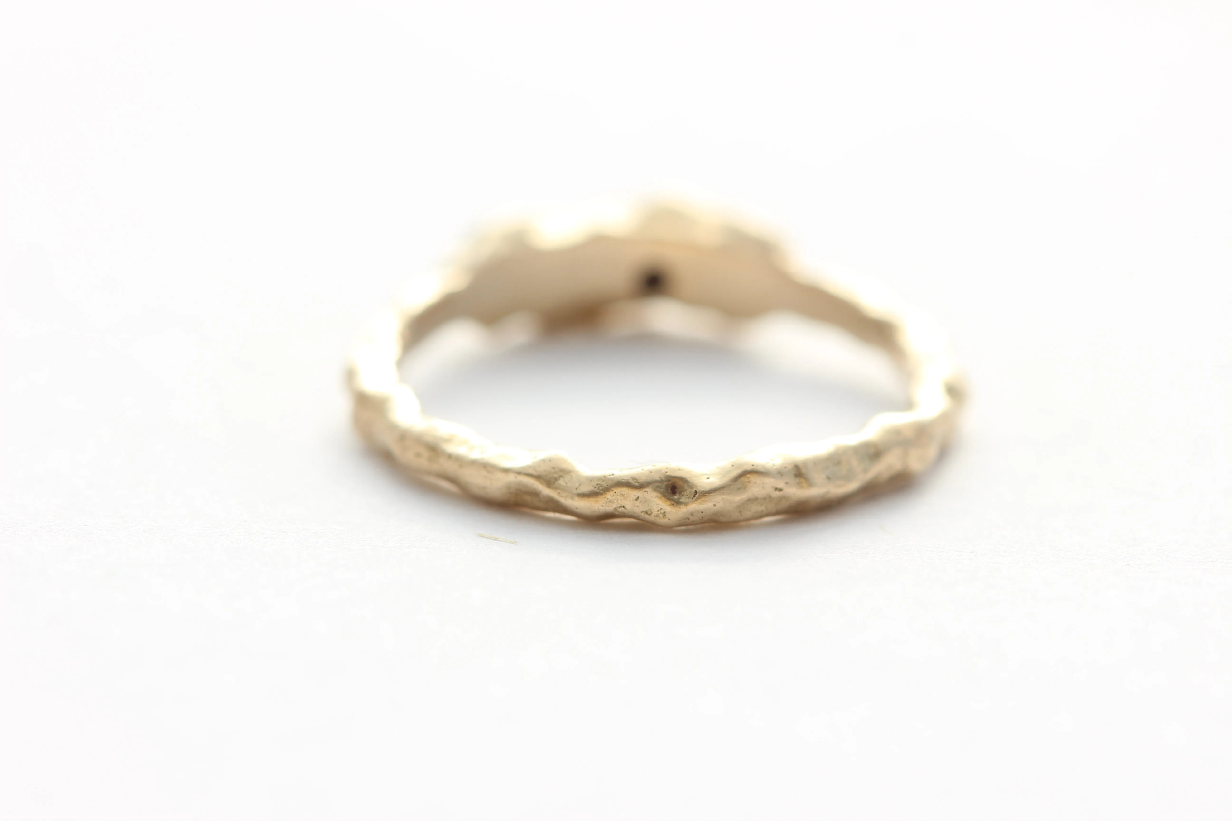 The Shiny Gold Adventure Ring