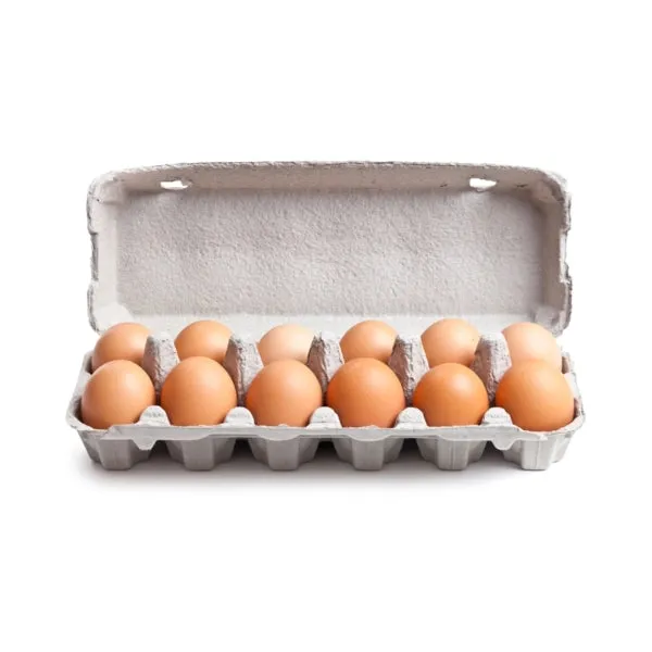 Tropical Fresh Extra Large Eggs 12s